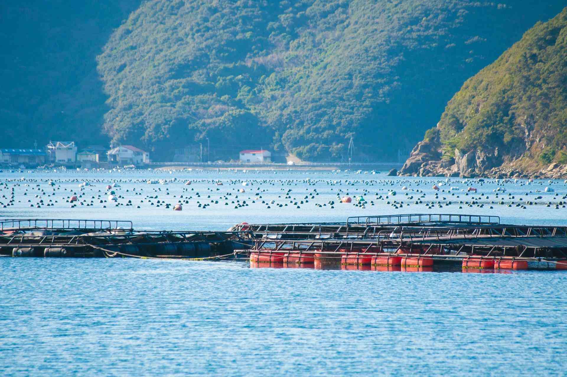 養殖場