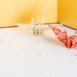 敬老の日に、感謝とお祝いギフトを。