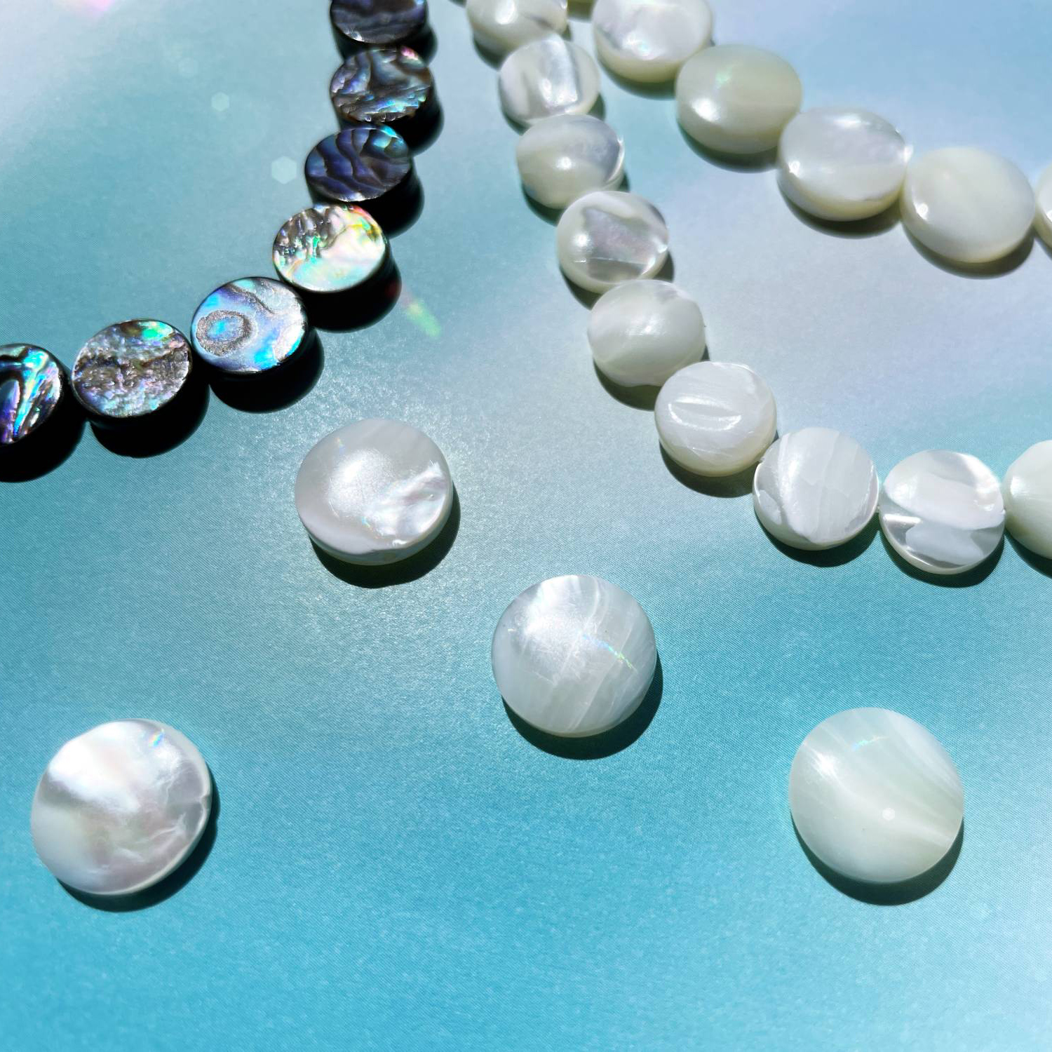 6月誕生石「パール」を生み出す真珠母貝・虹色に輝くマザーオブパール