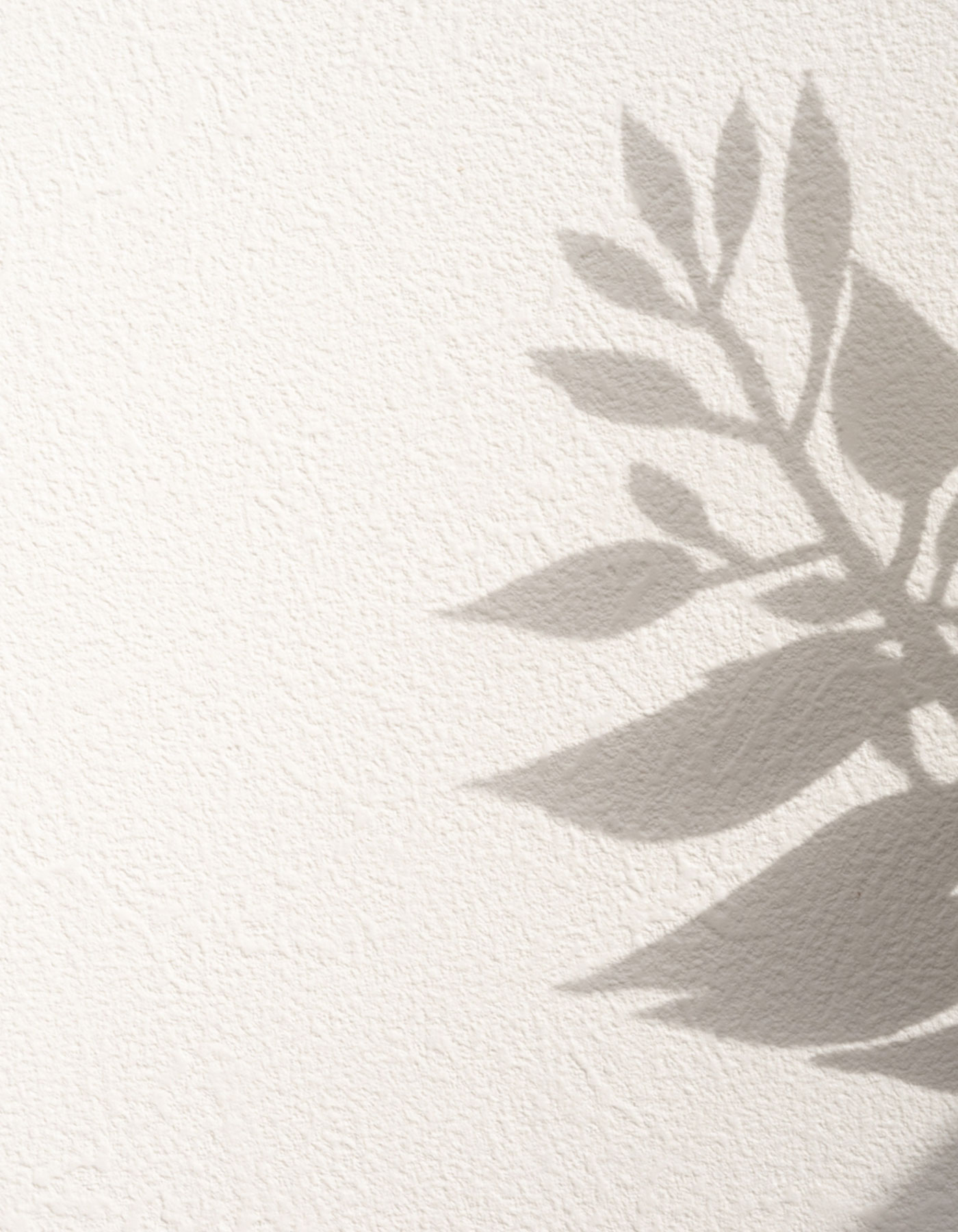 サマーイメージ画像2