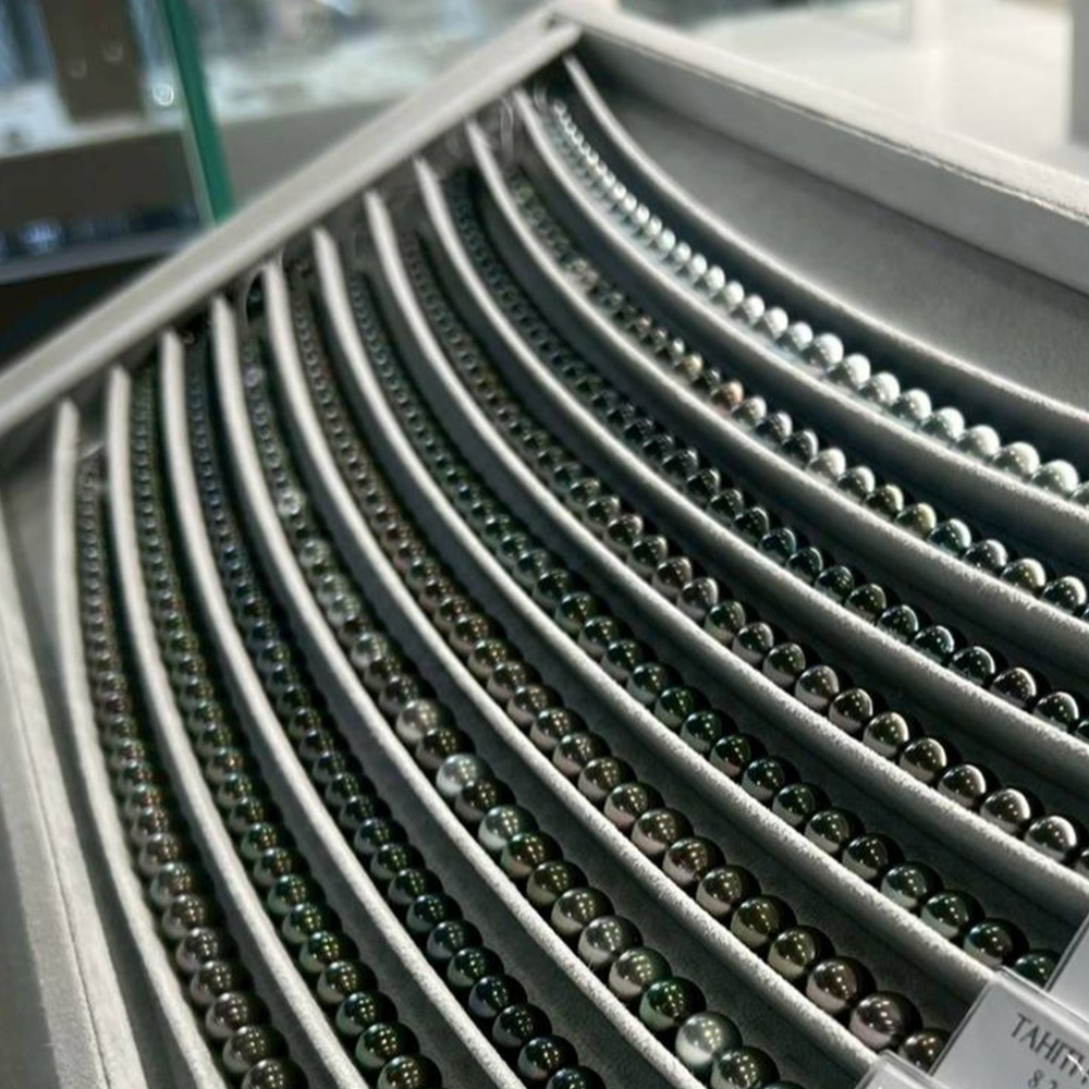 タヒチパールイメージ画像1