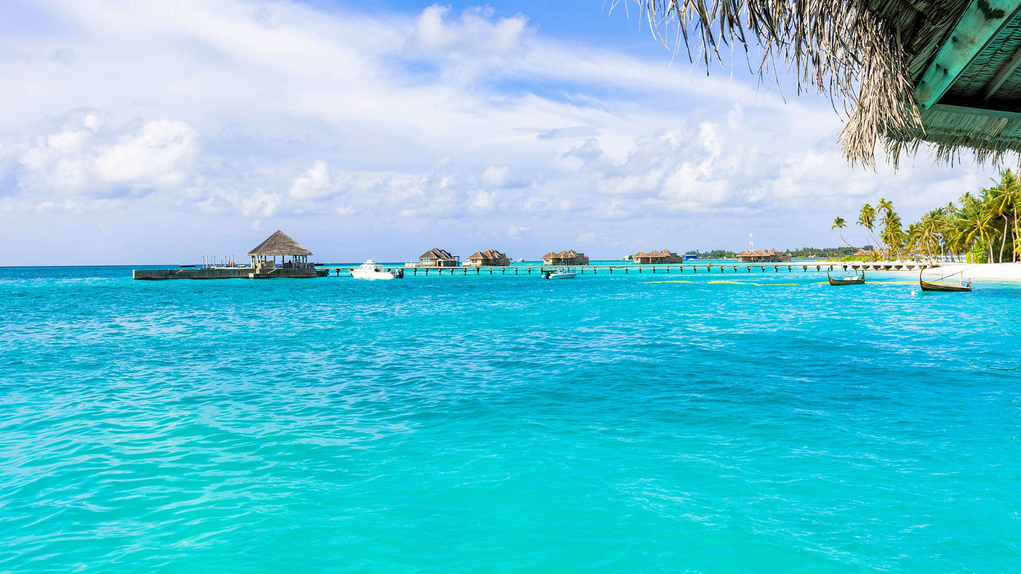 タヒチの海のイメージ画像